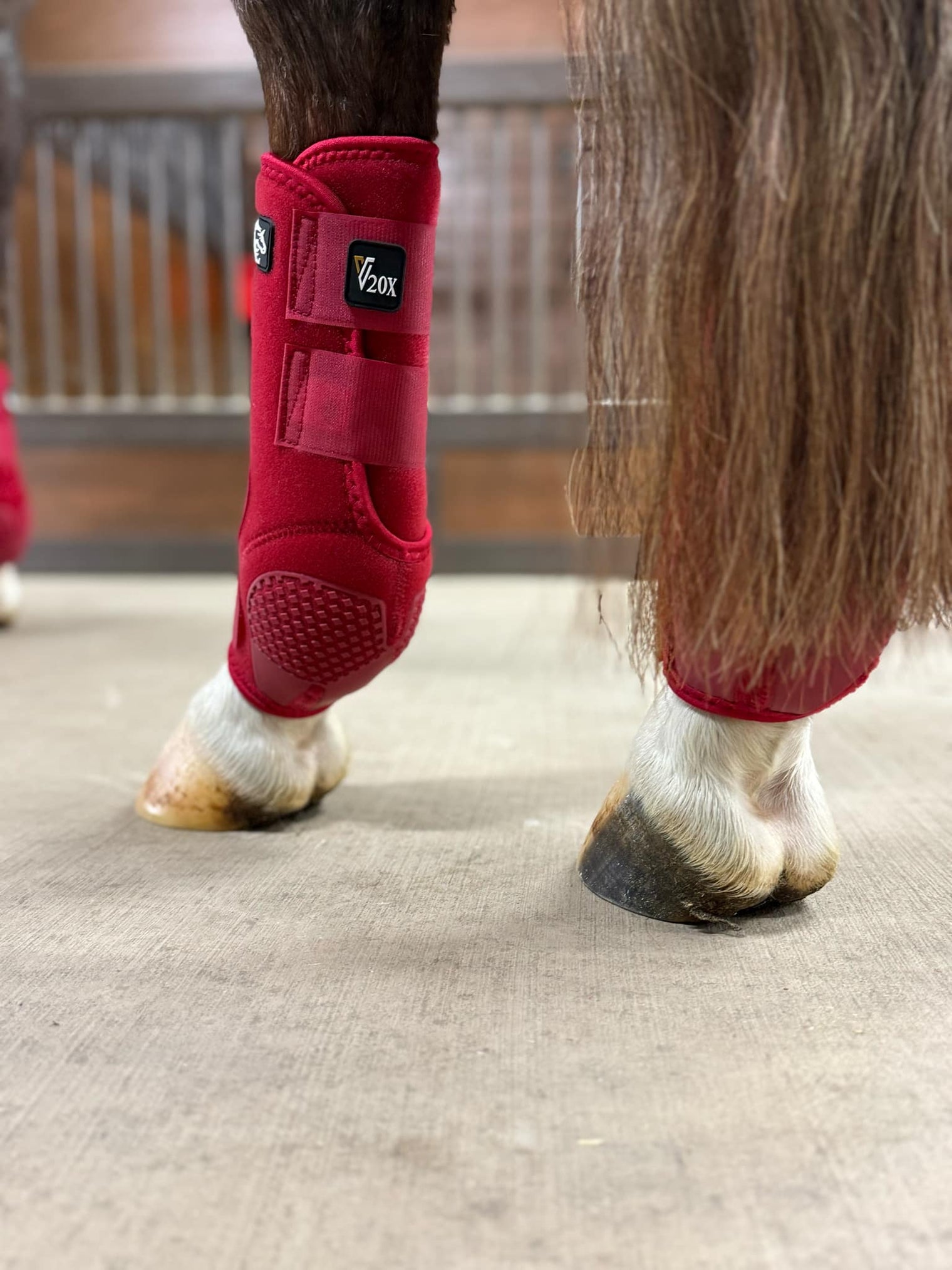 Red V20x Sport Protective hind boot in stable.