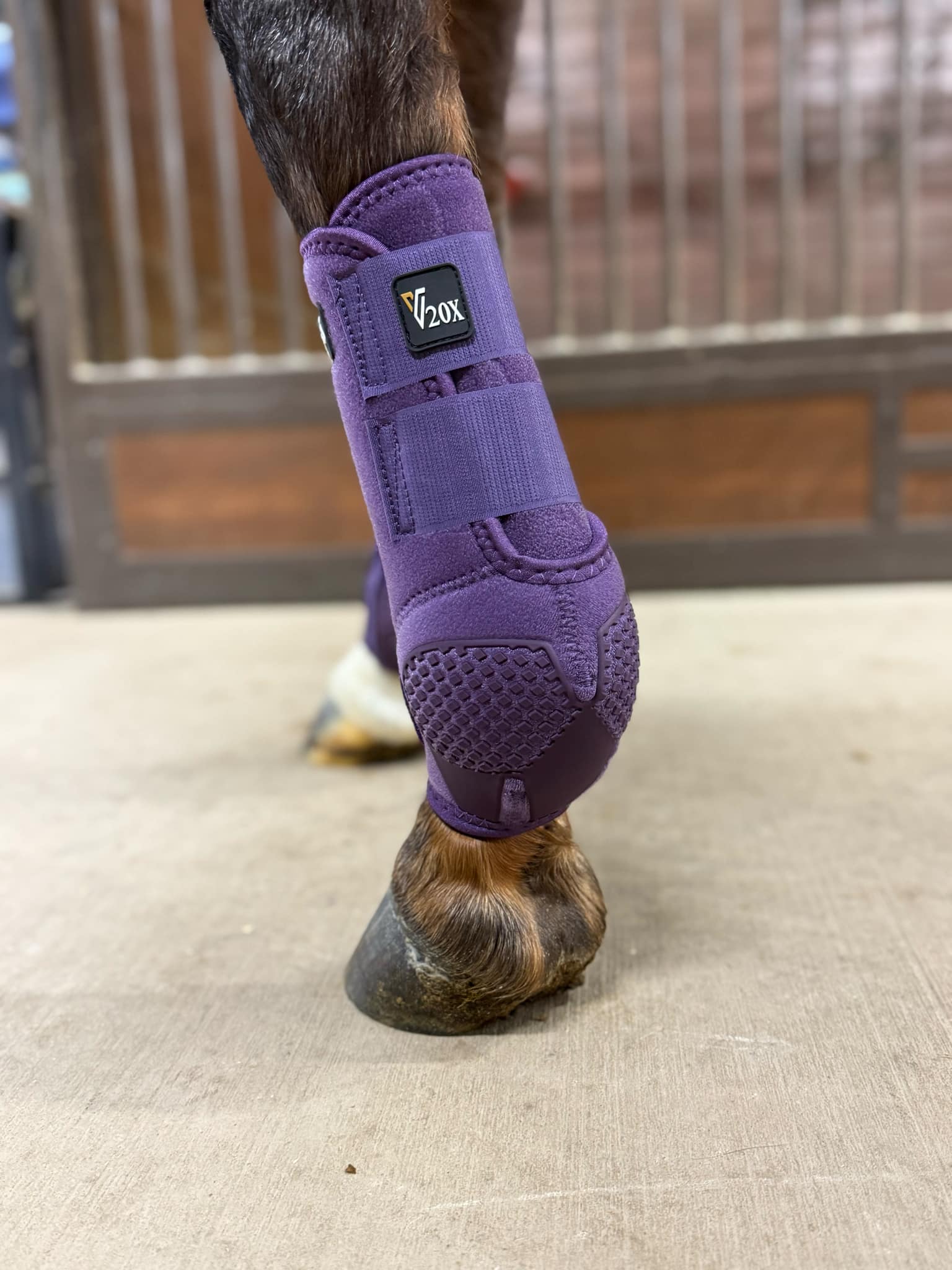 V20x Sport Protective FRONT Boots – Alliance Equine