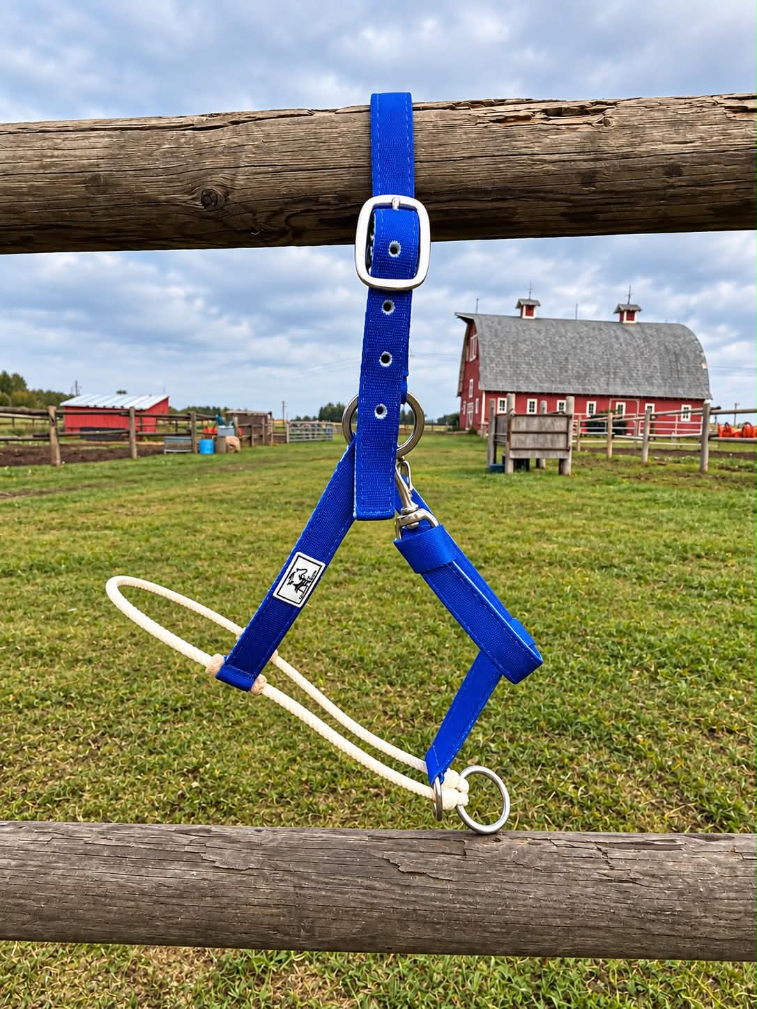 Rope Nose Nylon Halter
