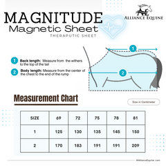 Magnitude Magnetic Sheet
