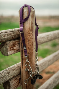 Plum Alliance Equine quick change headstall