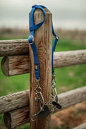 Royal Blue horse quick change bridle wearing bit.