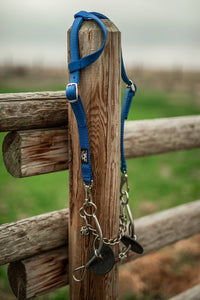 Royal Blue horse quick change bridle wearing bit.