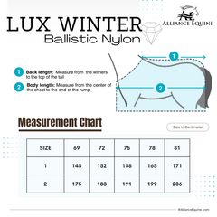 Lux Winter Blanket