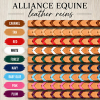 Leather Laced Single Rein