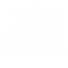 Alliance Equine