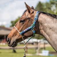 Rope Nose Nylon Halter