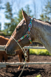 Rope Nose Nylon Halter