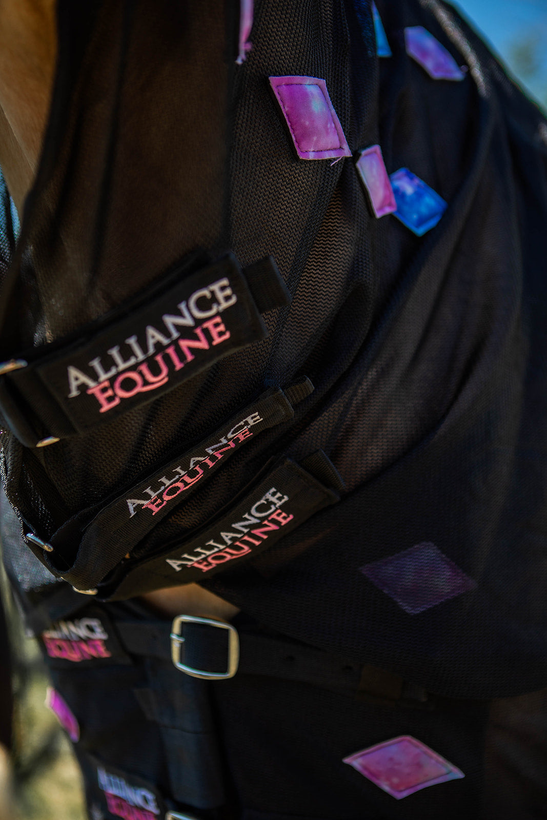 Magnitude Magnetic Sheet