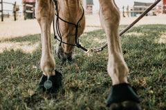 Magnetic Bell Boots