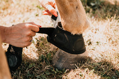 Magnetic Bell Boots