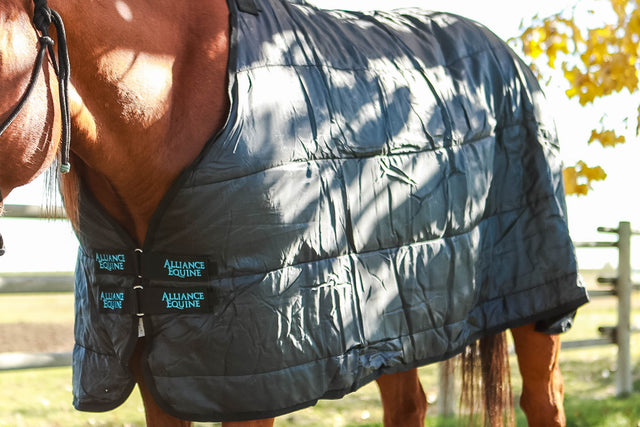 Horse Rug Liner - 50g / 100g / 200g