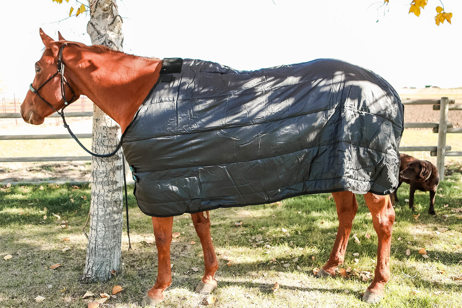 Horse Rug Liner - 100g Fill