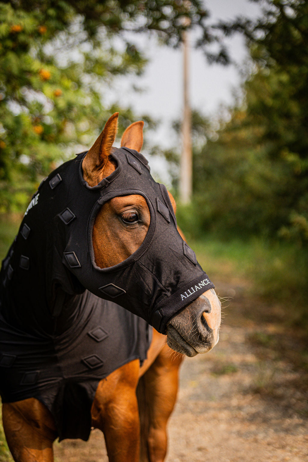 MagniFlex Housse Magnétique pour Cheval