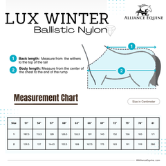 Lux Winter Blanket