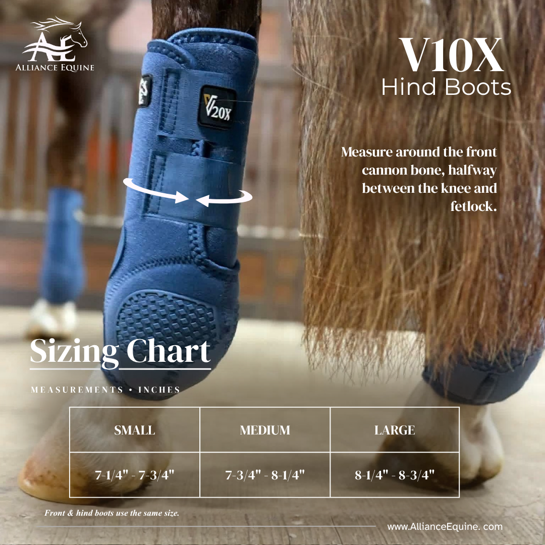 Bottes de protection sport V10X pour membres postérieurs