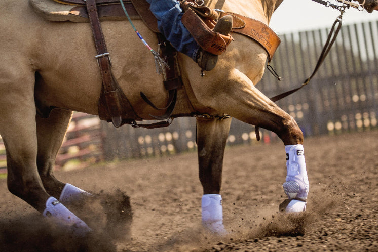 Horse with a rider in a dirt arena, focusing on the horse's legs and the saddle.