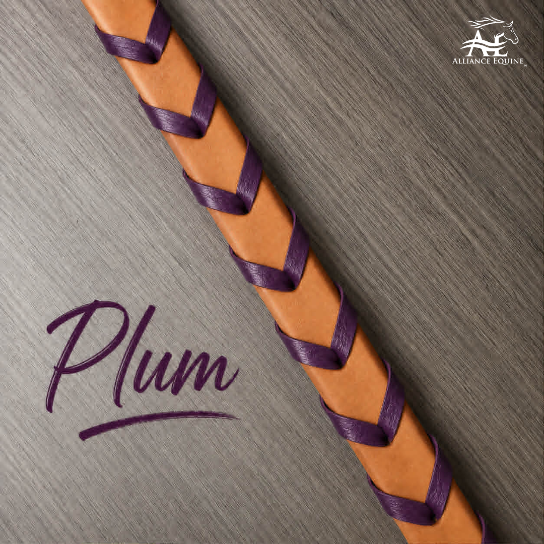 Leather Laced Single Rein