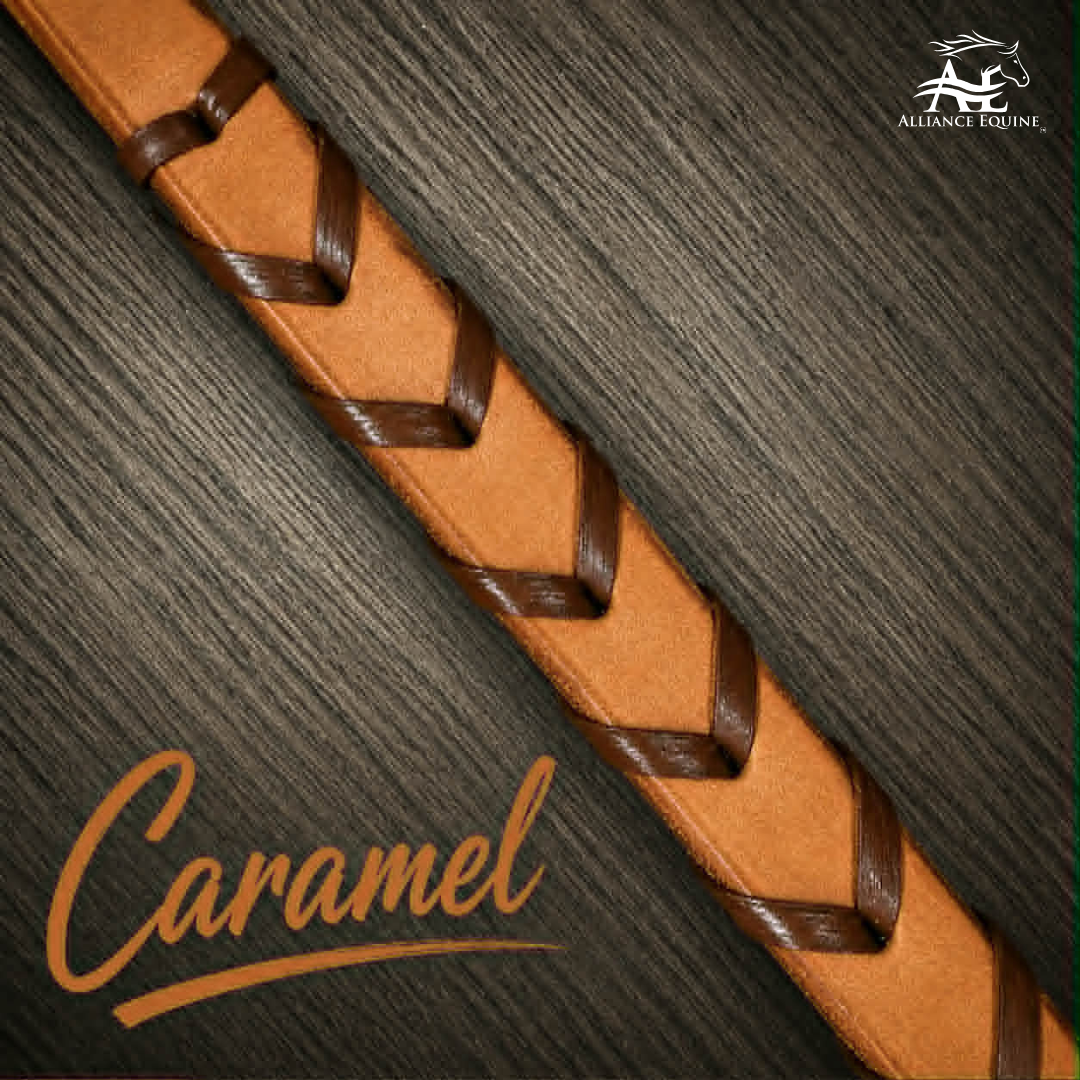 Leather Laced Single Rein