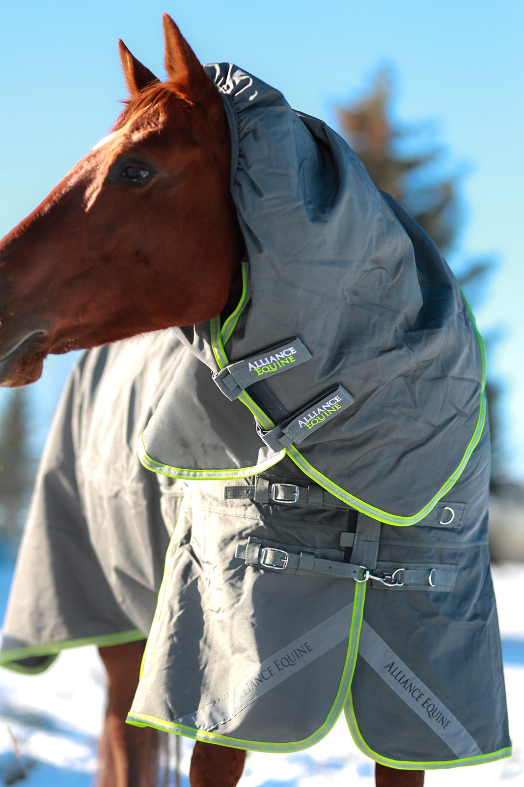 1200D Ballistic Nylon winter blanket Neck piece view