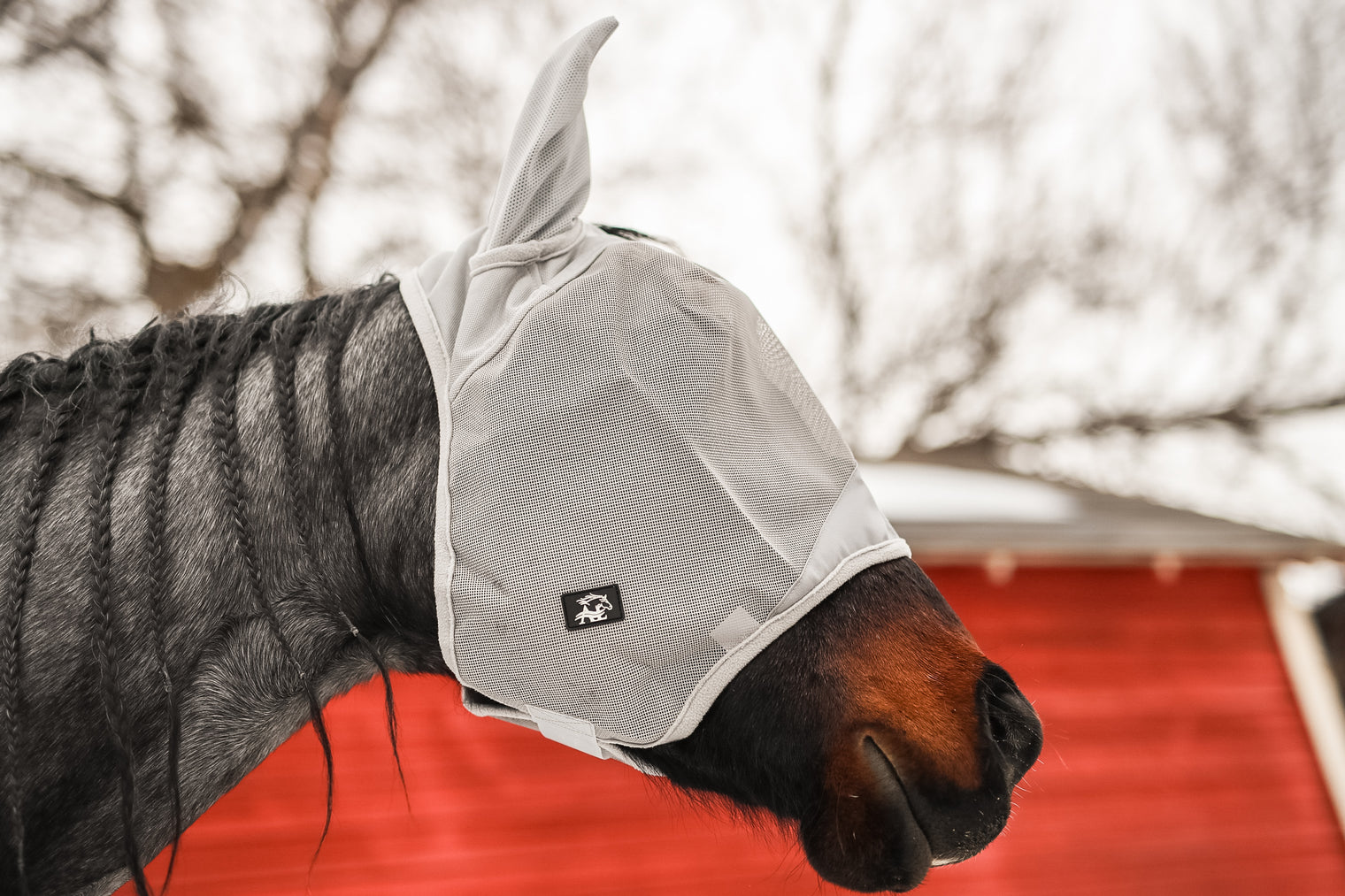 Buzz Off Fly Mask