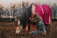 Magnitude Magnetic Sheet