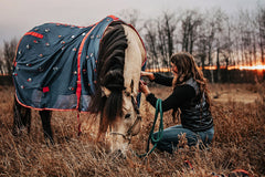 Magnitude Magnetic Sheet