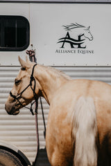 Alliance Equine Decal