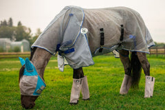 Buzz off fly wear, fly sheet, fly boots, fly mask.