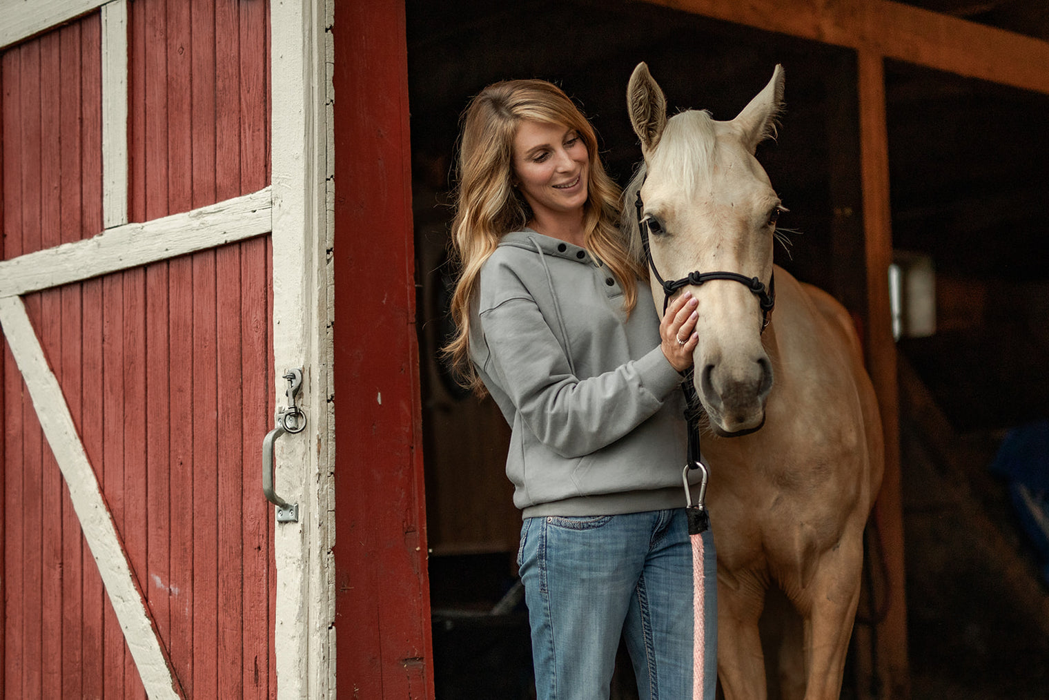 Phoenix grey front view