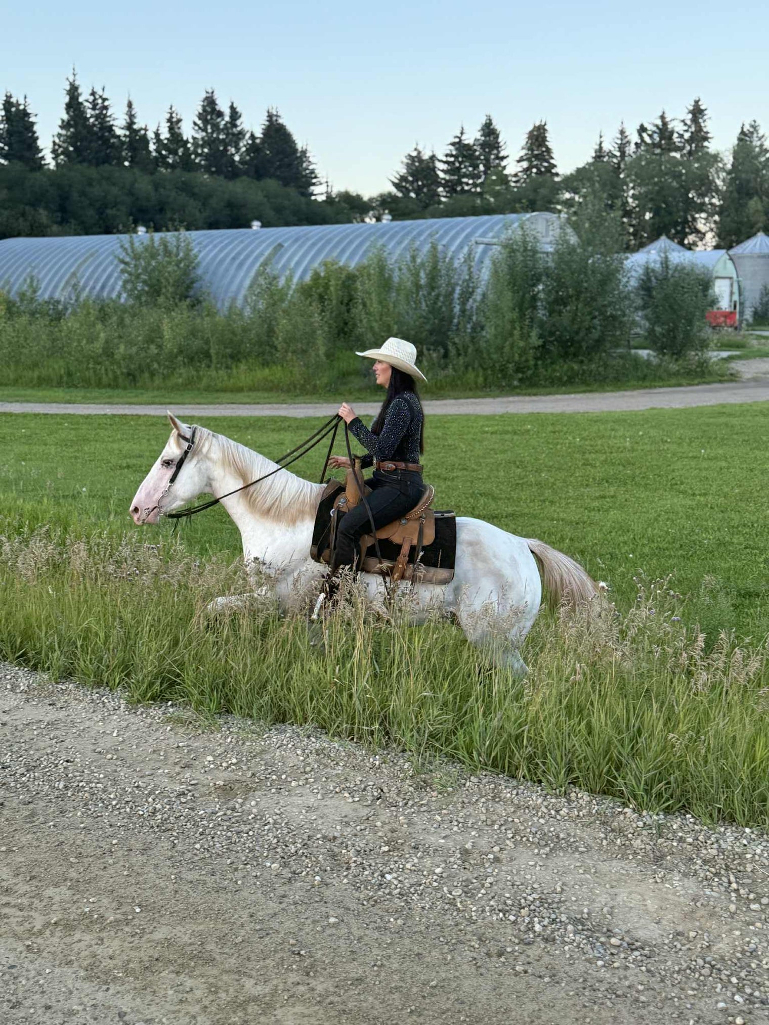 Rhinestone Bodysuits