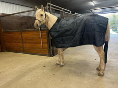 Horse Rug Liner - 200g Fill