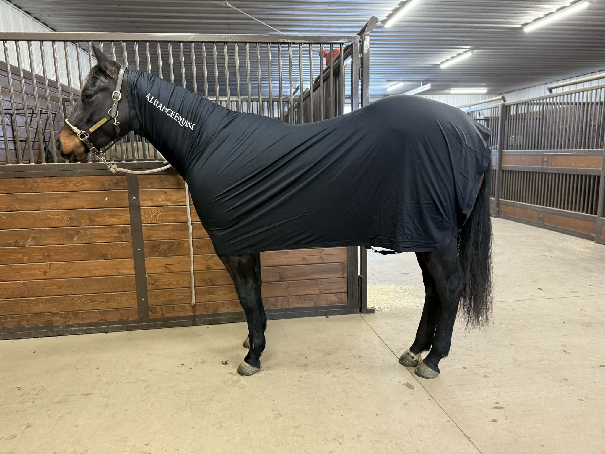 Faceless Full-Body Slinky