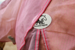 Buzz Off Fly Sheet - NOW  Available in Cool Pink or Pastel Plaid