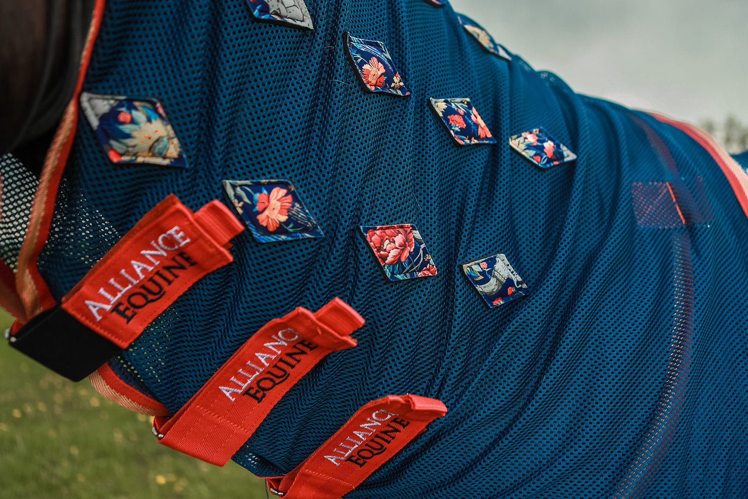 Magnitude Magnetic Sheet