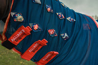 Magnitude Magnetic Sheet